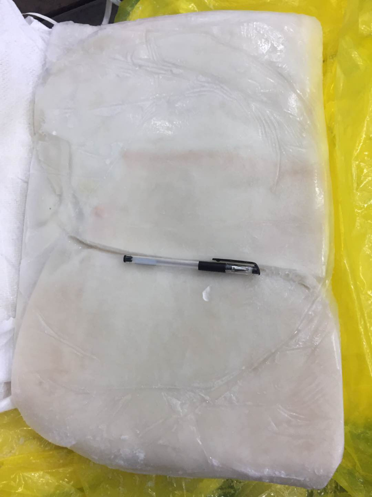 冷凍魷魚片 FROZEN GIANT SQUID FILLET