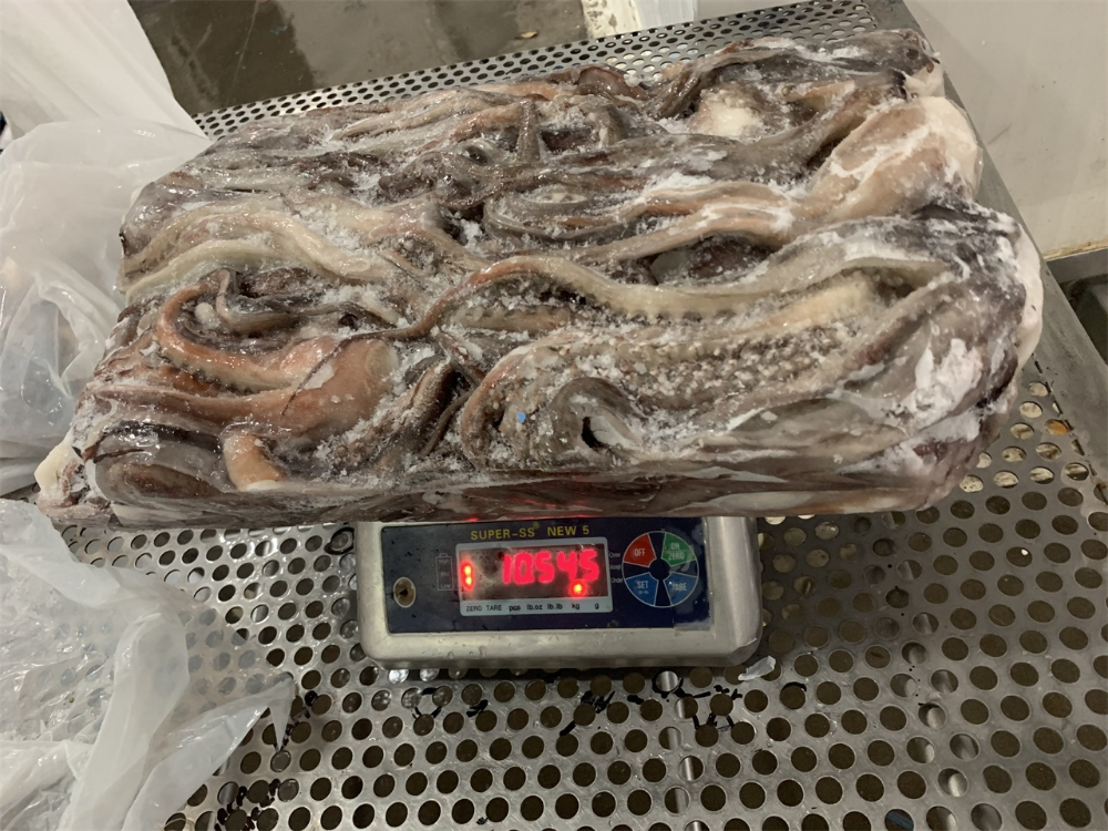 冷凍魷魚須 FROZEN GIANT SQUID TENTACLES