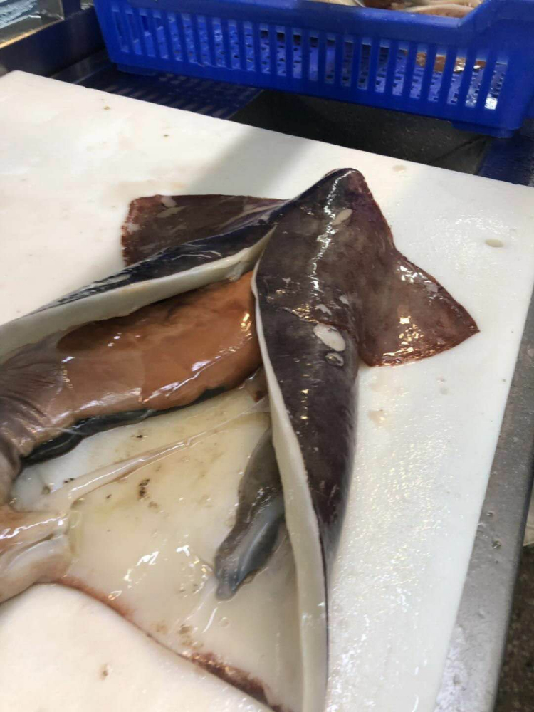 冷凍魷魚原條 FROZEN WHOLE GIANT SQUID